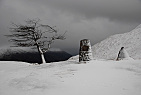 New Zealand - South Island / Pass near Crown Range Summit